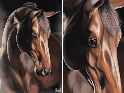 Horse animal art artwork digital digital art digital illustration drawing illustration printdesign zoo