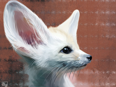 Fenek the fox animal art artwork digital digital art digital illustration illustration zoo