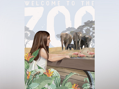 The Foundations of Zoos