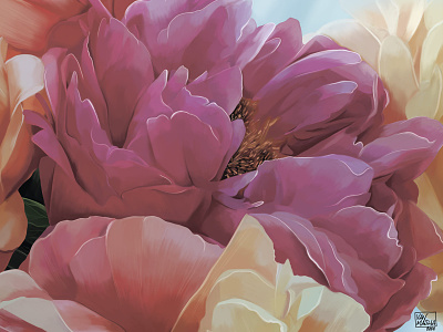 "Peonies" art artwork digital art digital illustration drawing flowers gift idea illustration pink spring
