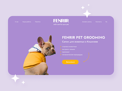 Pet Grooming Website Design hero section design landing page design pet grooming design ui web design website design