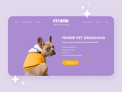 Pet Grooming Website Design