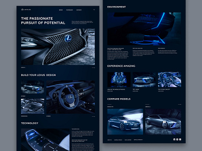 Lexus web site concept