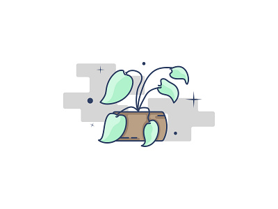 Plant