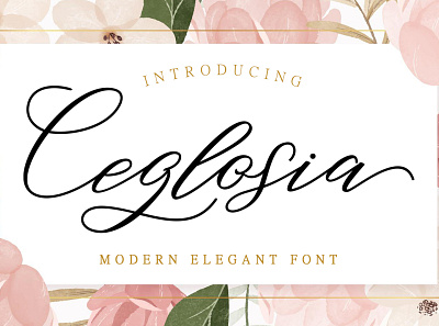 Ceglosia app branding brush design elegant flat font illustration logo ui