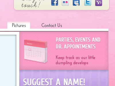 Baby Boom Sidebar baby blog pink purple theme wordpress