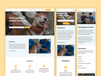 DYR - Pet Shelter Responsive Design design pet pet adoption pet shelter ui uidesign uiux ux web design website