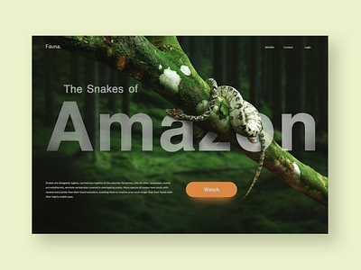 Landing page design - Fauna amazon forest interface product design snakes ui ui ux web webdesign website wildlife