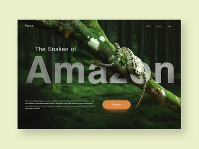 Landing page design - Fauna