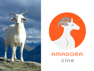 Imagotype for Amadora - cine bolivia branding branding design cinema design goat goat logo imagotipo imagotype logo marca