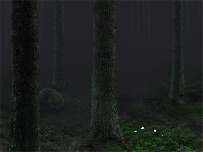 Forest concept dark game night photoshop