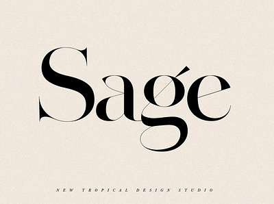 SAGE display font display typography font font family masthead typeface