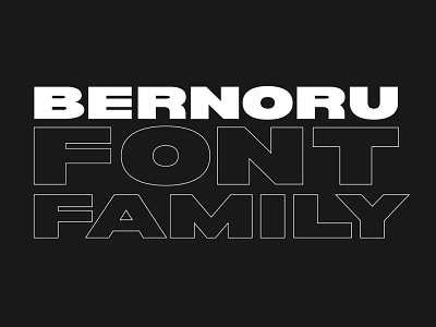 Bernoru Sans bold font display font display typography font family graphic design