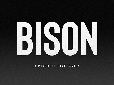 Bison bold font display font display typography font font family outline