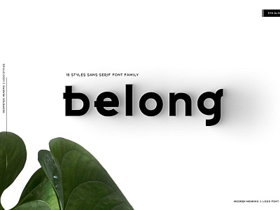 Belong Logo display typography font font family sites typeface