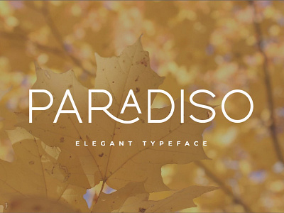 Paradiso Typeface bold font display font display typography font font family modern font