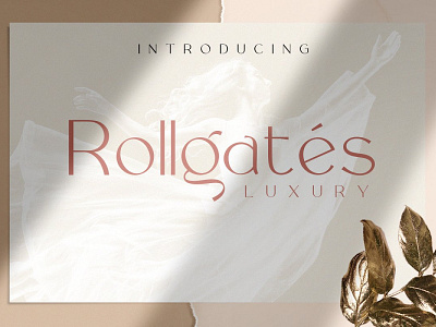 Rollgates Luxury bold font display typography font font family typeface vintage