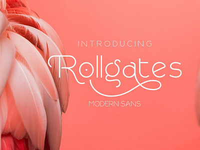 Rollgates + UPDATE Italic Font