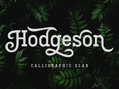 Hodgeson bold font display display font display typography font font family logo fonts magazine slab slab serif typeface