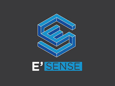 E'SENSE branding design electricity flat illustration isometric logo typography vector