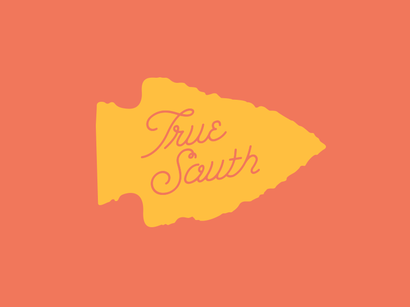 True South, Pt. 2 airtype arrowhead color design gif hand drawn hand lettering lettering script south vintage