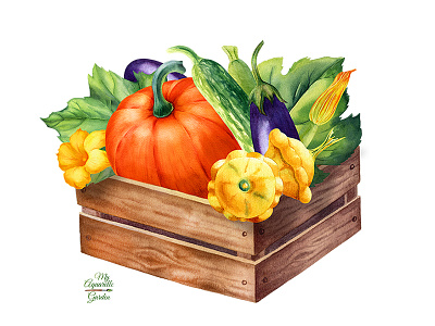Vegetebles in wooden crate botanical illustration hand drawn vegetables watercolor watercolour