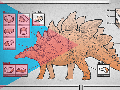 Dino Cuts: Stegosaurus dinosaur editorial graphic illustration infographic