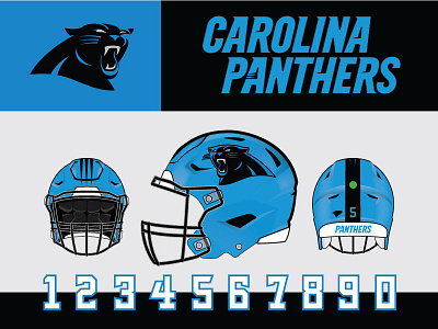 Carolina Panthers Set