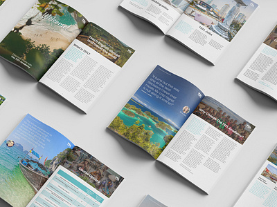 Brochure work brochure catalogue design editorial brochure graphic design