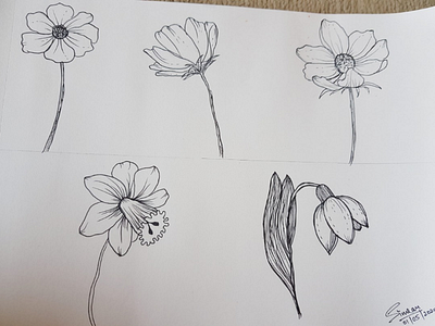 Practice.. flowers illustration marker pen practice