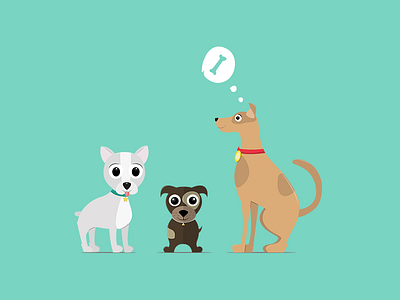 Dogs animal dog illustration