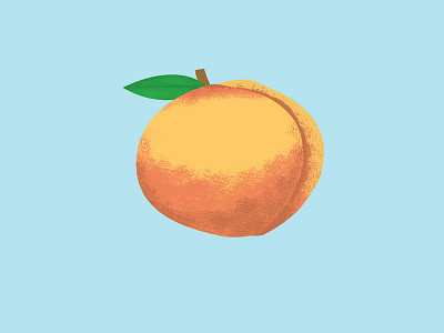 Look - It's a peach! color illustration peaches