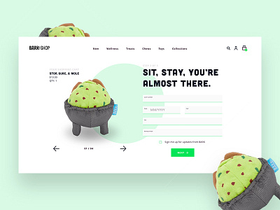 Credit Card Form - Daily UI 002 barkshop dailyui food forms green guacamole interface minimal sign up ui ux white