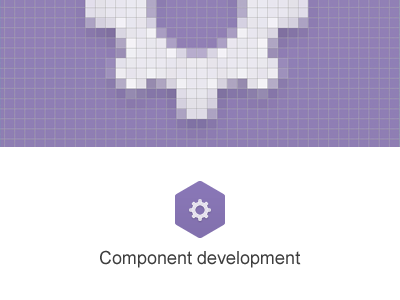 Development Icon component development icon