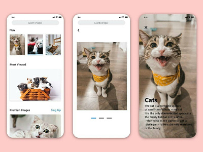 Galería de imágenes app cats design designer figma ui ux
