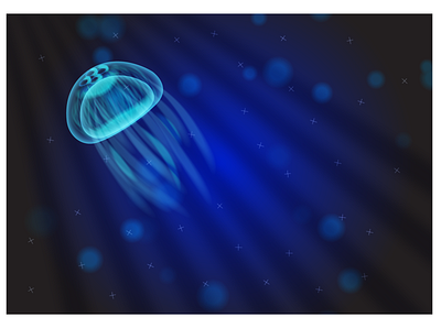 jellyfish