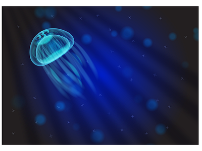 jellyfish