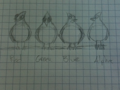 RGBa Birds birds moleskine pencil sketch