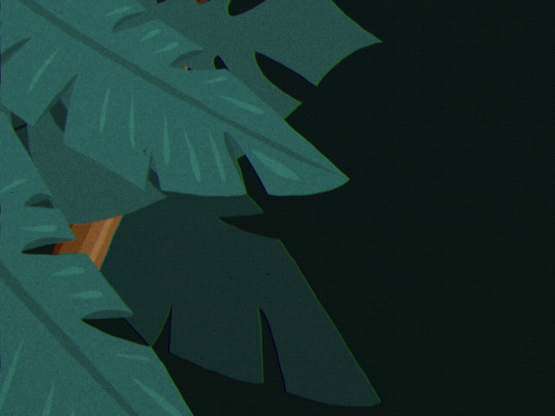 Jungle leaves animation jungle leaf leaves motion animation vector