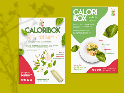 Caloribox - Pamphlet Designs branding concept design pamphlet