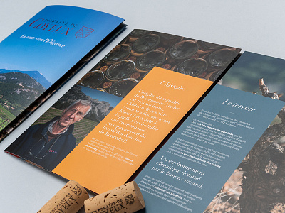 Brochure design graphic print wine