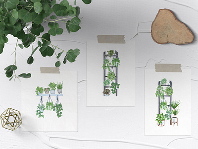 HousePlants Watercolor Illustrations