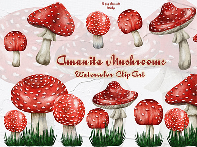 Watercolor Amanita Mushroom