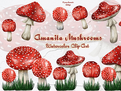 Watercolor Amanita Mushroom