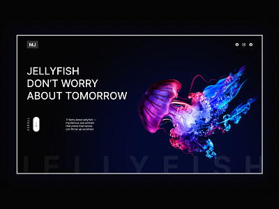 Jellyfish site
