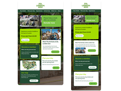 London Zoo webpage design