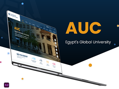 AUC Website Redwsign education ui ux website