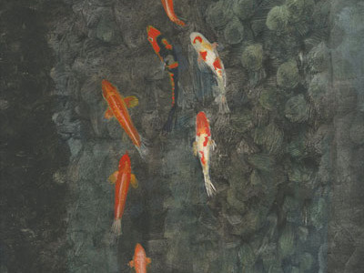 Koi