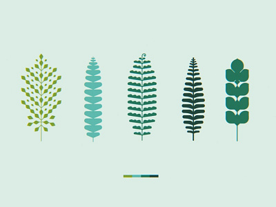 Geometric Ferns ferns forest geo geometric green illustration leaves minimal northwest pacific plants
