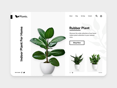 Landing Page Shoop Plant branding design exploration explore illustration landingpage logo ui uidesign webdesign